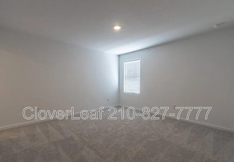 3338 Gingham Point — Photo 14