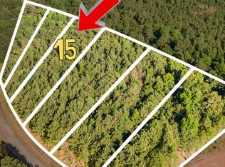 1028 Queens Bridge Way, Griffin, GA 30223