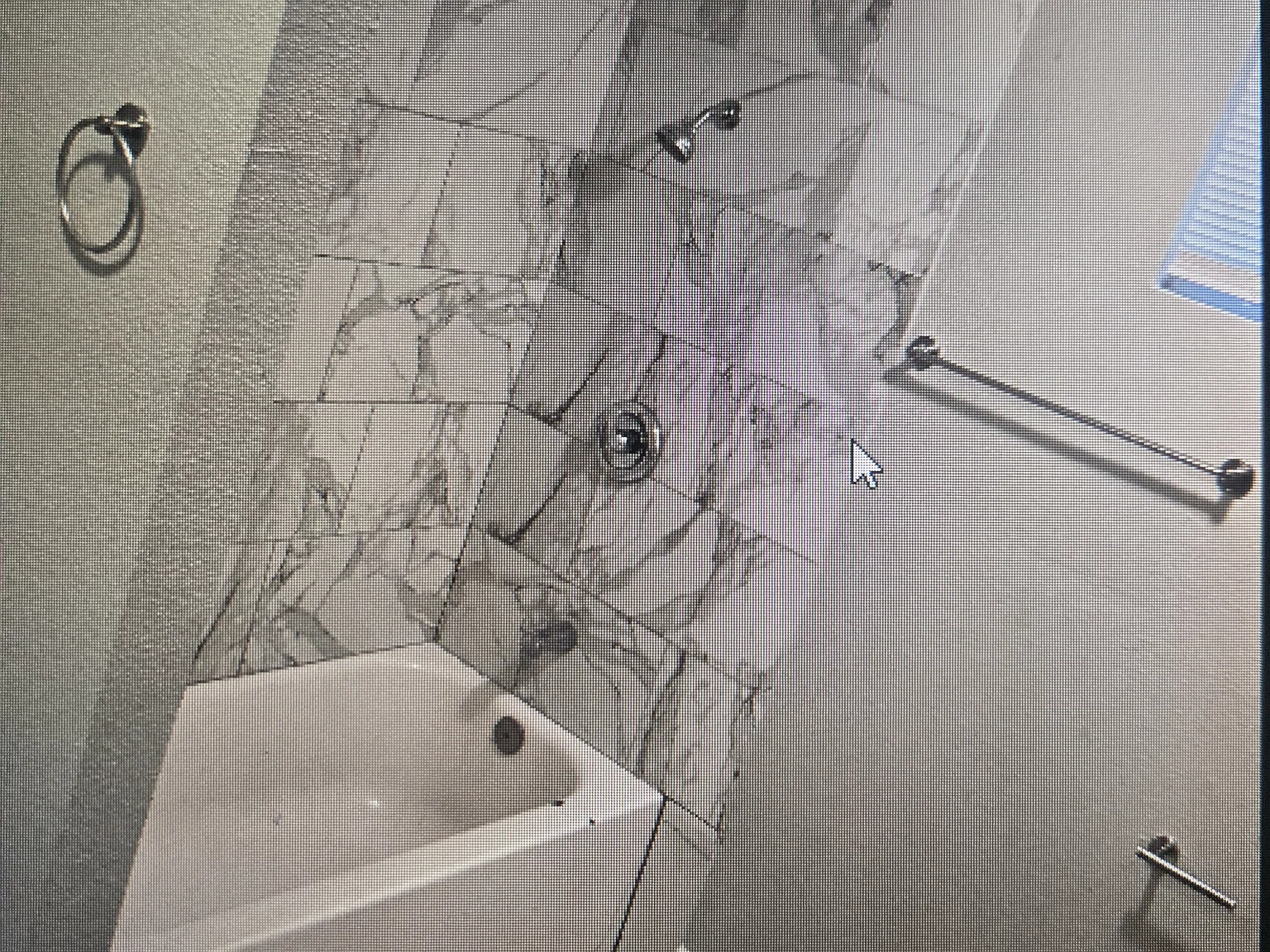 3 bed, $1,850 — Photo 3