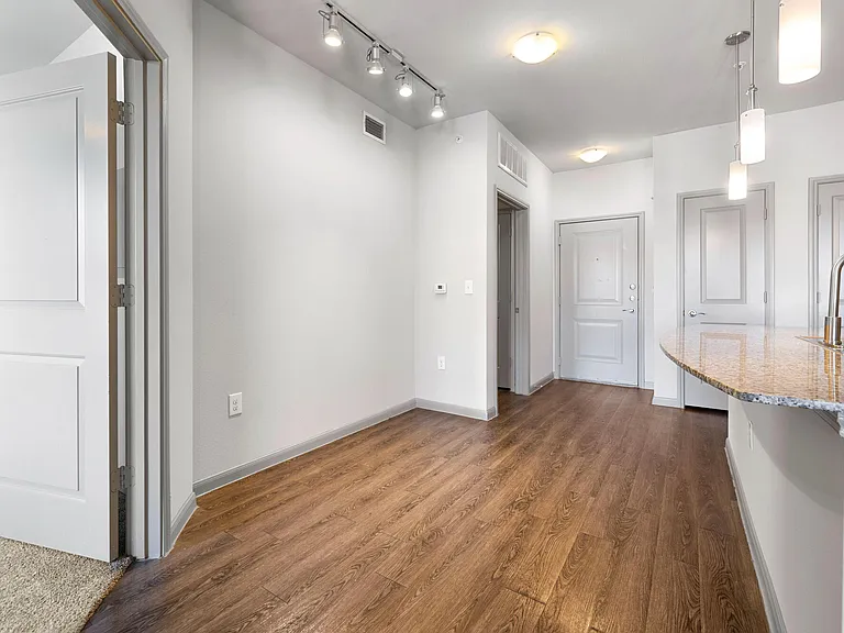 Olympus at Waterside Estates — Photo 87