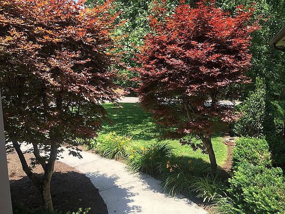 view coming out front door