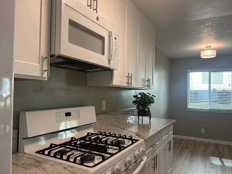239 Macario Ct — Photo 12