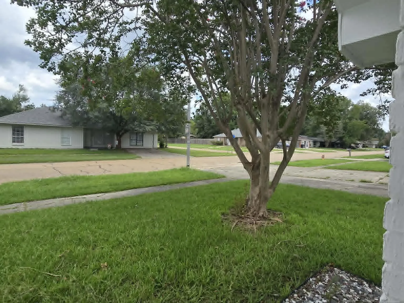 3 bed, 1251 sqft, $1,800 — Photo 3