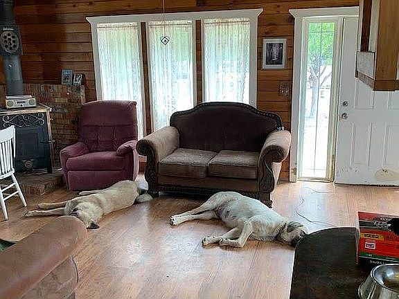 Living Room. Wood Stove