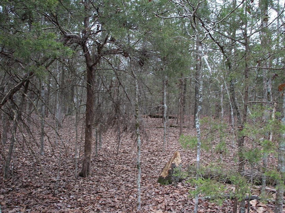 2nd image of LOT 38 Jeb Rd