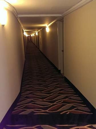 2nd image of 1121 University Blvd W APT 1318-B