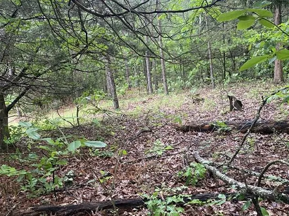 0 Susan Dr, Sainte Genevieve, MO 63670