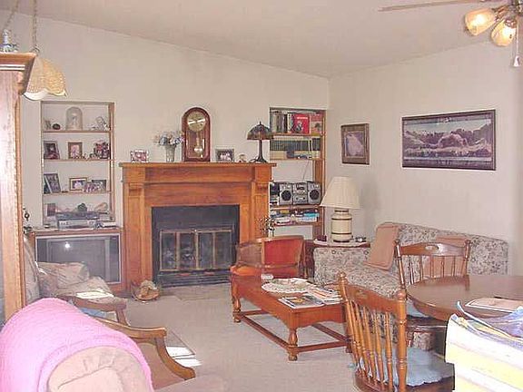 Wood burning fireplace
