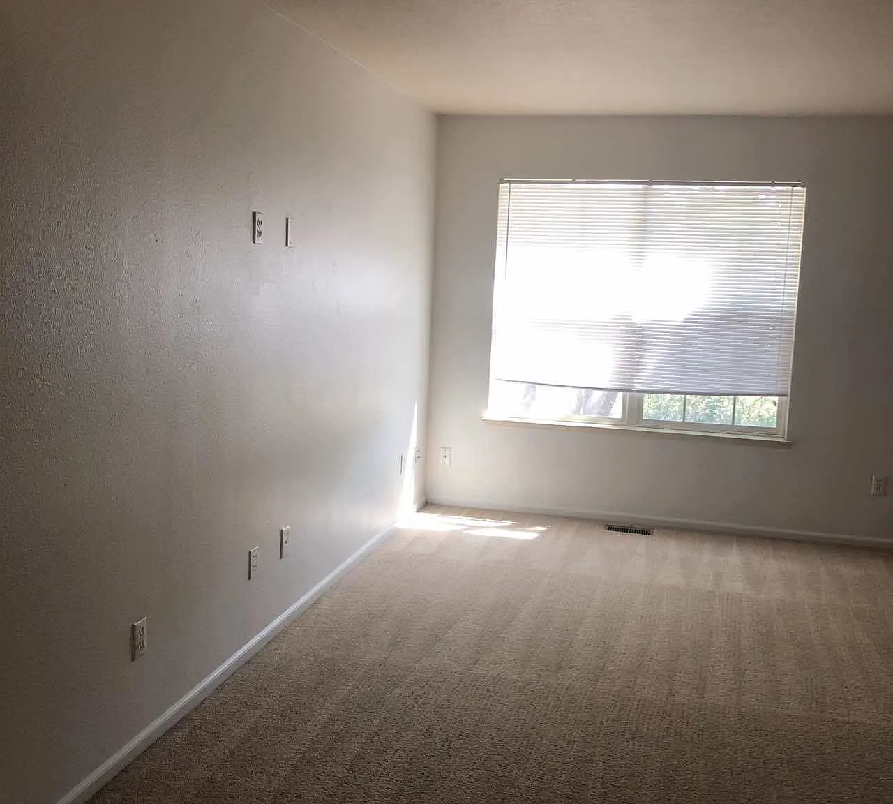 4533 Starflower Drive Unit C - 1 — Photo 3