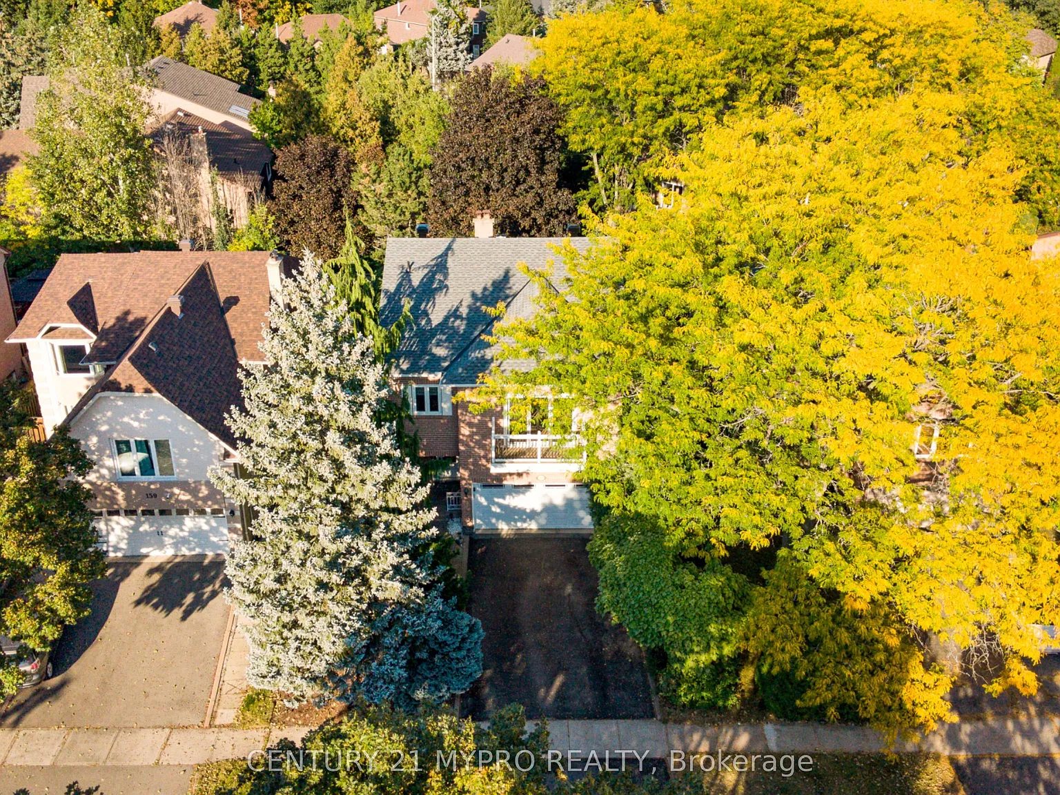3 bed, $4,250 — Photo 3