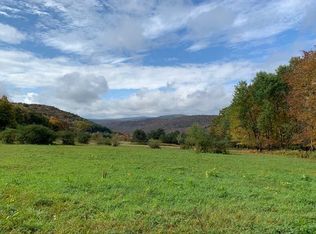 680 Bell Hill Rd, Delhi, NY 13753