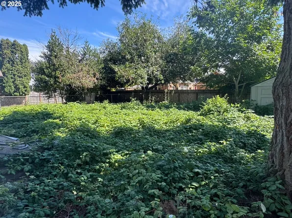 8162 N Druid Ave, Portland, OR 97203