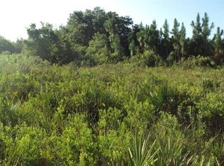 10003 SW Edgewater Ter, Arcadia, FL 34269