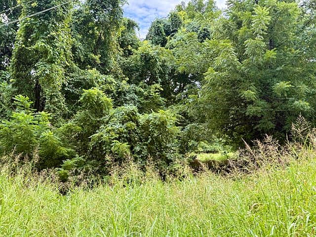 1st image of 000 E Grand East Street #6.3 Acre M/L