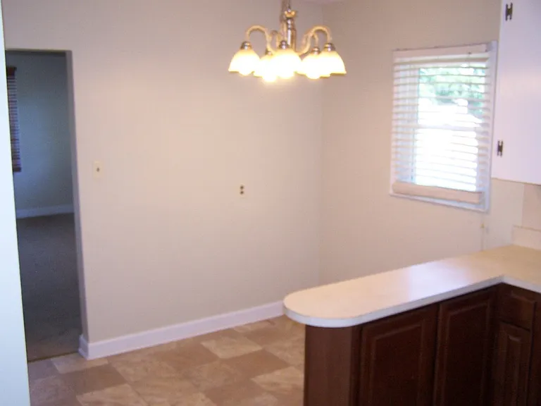 1617 Vogler St — Photo 4