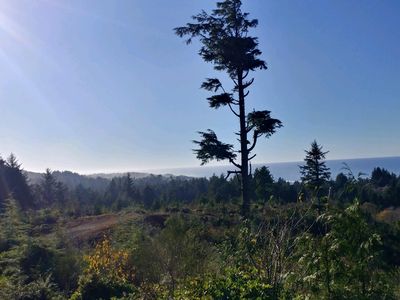 NULL-T/L Stanley St #100, Depoe Bay, OR, 97341