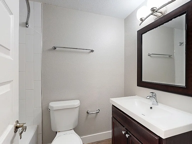 South Forest — Photo 10
