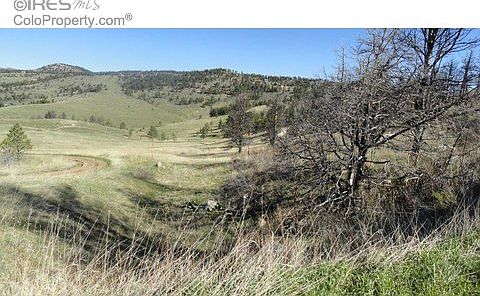 5th image of 60 Turkey Roost Dr