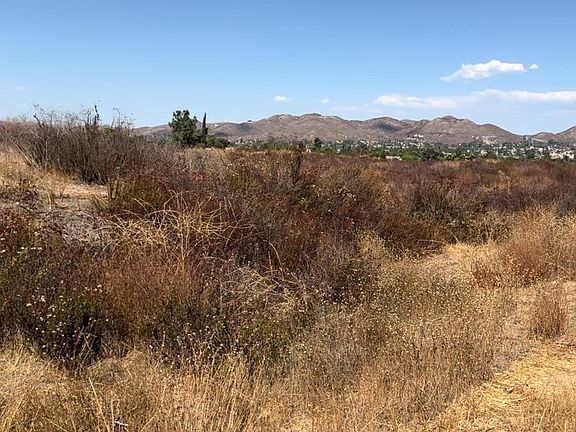 5th image of 21041 Cashew
