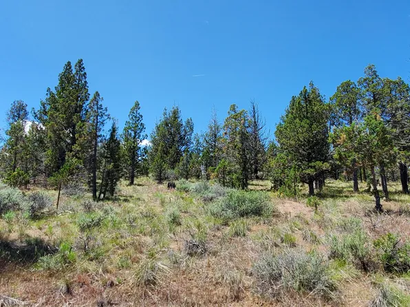 SE Weatherby Loop #4300, Prineville, OR 97754