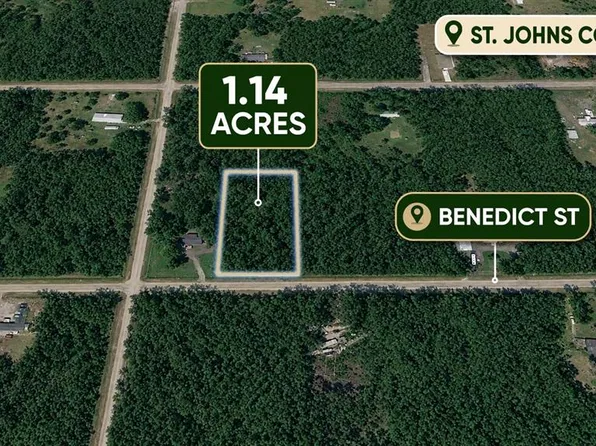 4260 BENEDICT STREET, HASTINGS, FL 32145
