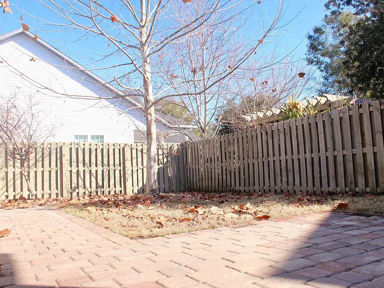 Backyard 2