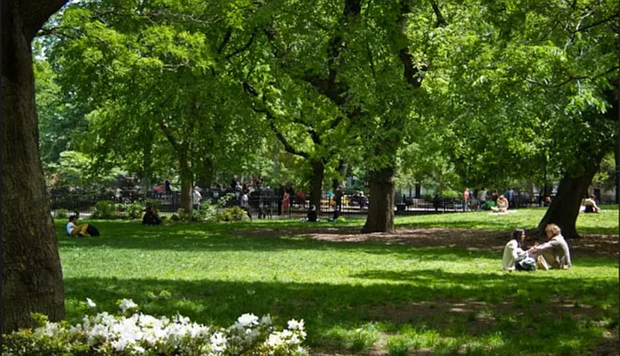 Rented by Ethan Blinder, LREB | media 33