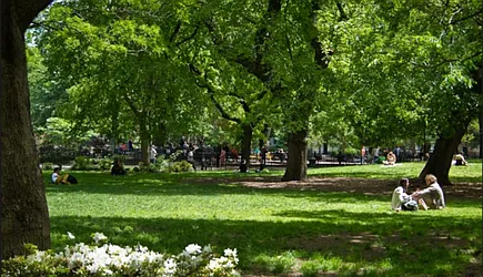 Rented by Ethan Blinder, LREB