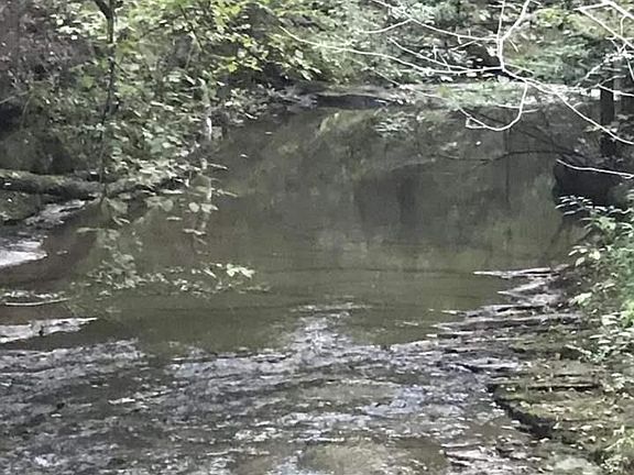 3rd image of S Fork Dover Ar