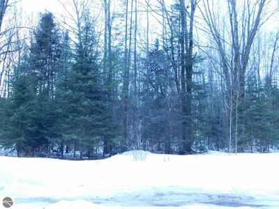 4520 S Lachance Rd, Lake City, MI, 49651