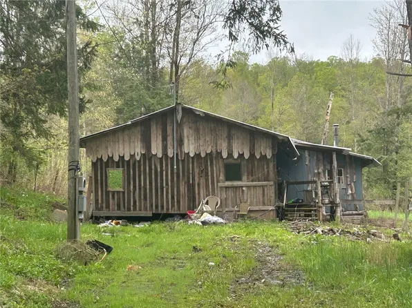 292 Ripple Rd, Norwich, NY 13815