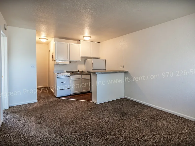 500 W Laporte Ave — Photo 45
