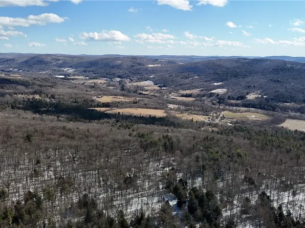 Patent Line Rd Lot 7, Franklin, NY 13775