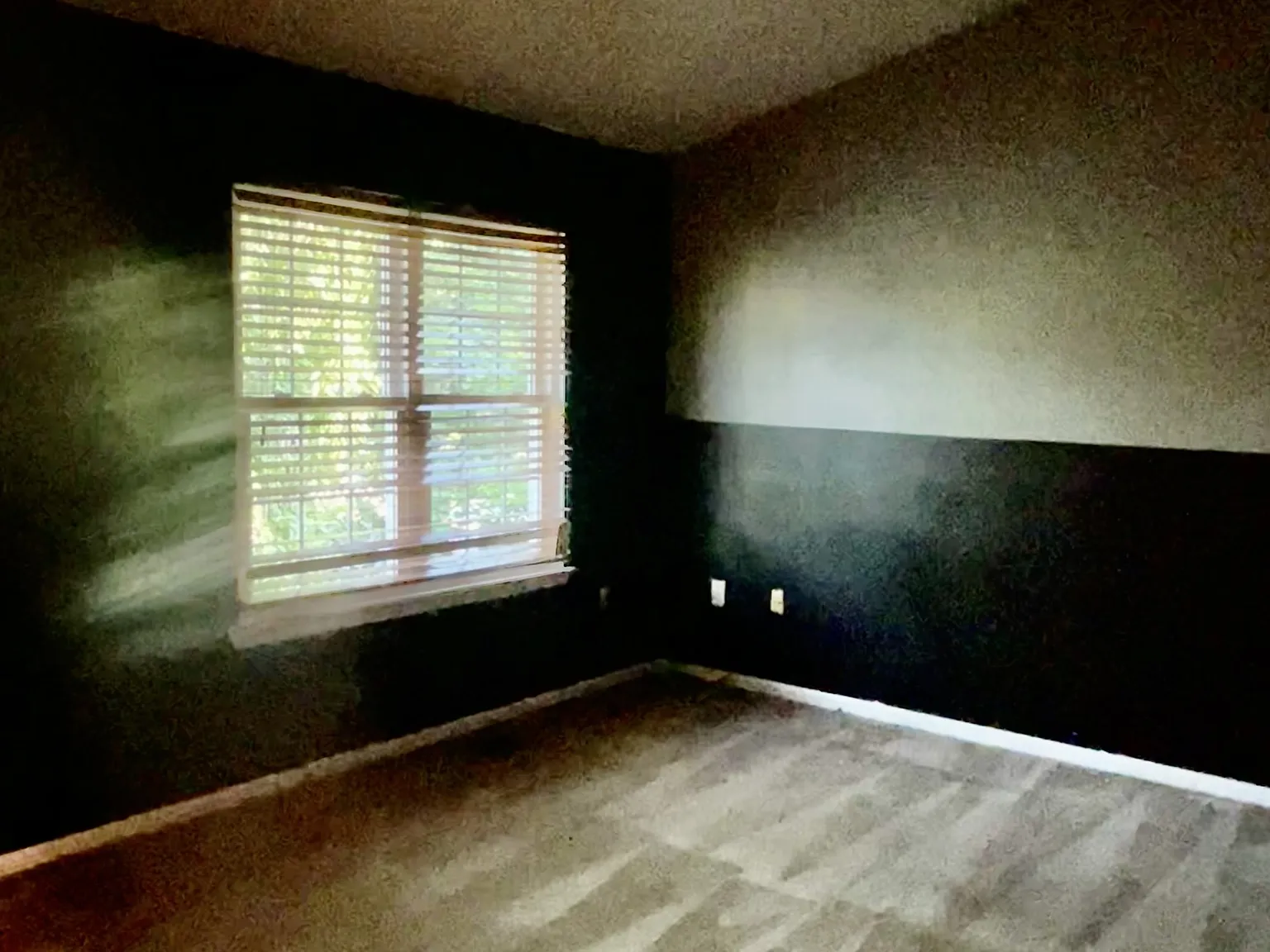 4194 Bluebird Drive - 1 — Photo 4