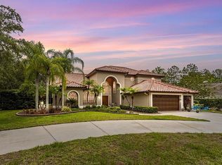 1637 Chatam Ct, Oldsmar, FL 34677