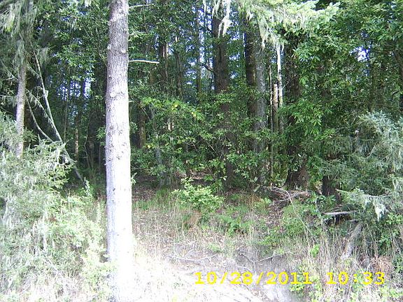 3rd image of 11893 Ocean View Dr