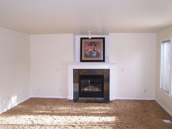 Updated family room with new carpet & slate tile surrounding gas insert