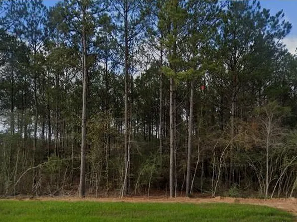 15508 Forest Grove Dr, Willis, TX 77378