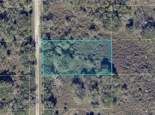 1316 Canton Ave, Lehigh Acres, FL 33972