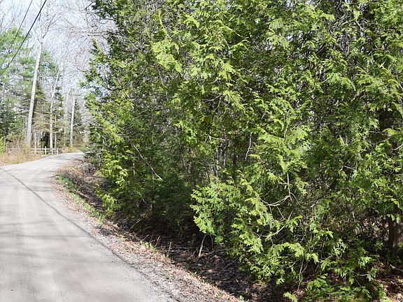 3rd image of Lot 49 Heron Lane