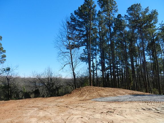 Looking east towards lake