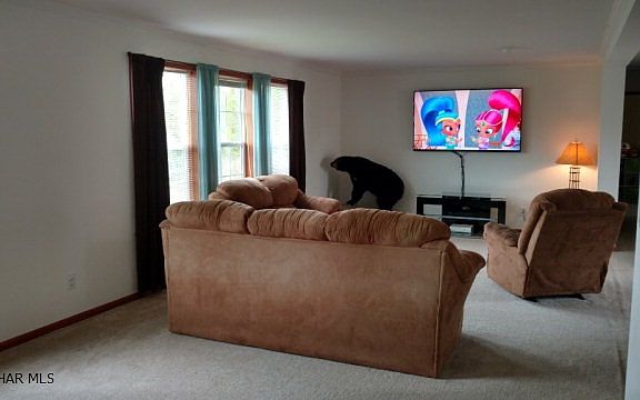 2nd image of 324 Vista View Ln