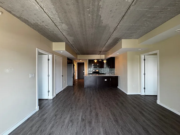 Gorgeous Historical Apartments Near Beach in East Rogers Park — Photo 100