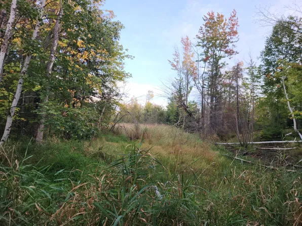 Noble Rd, Ontonagon, MI 49953