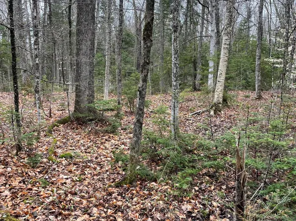 9 Heald Pond Road, Moose River, ME 04945