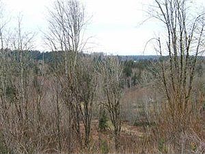 1st image of 9800 93rd Ln SE