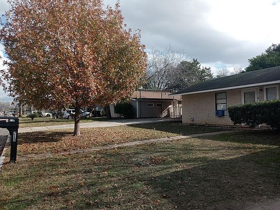 front yard tree