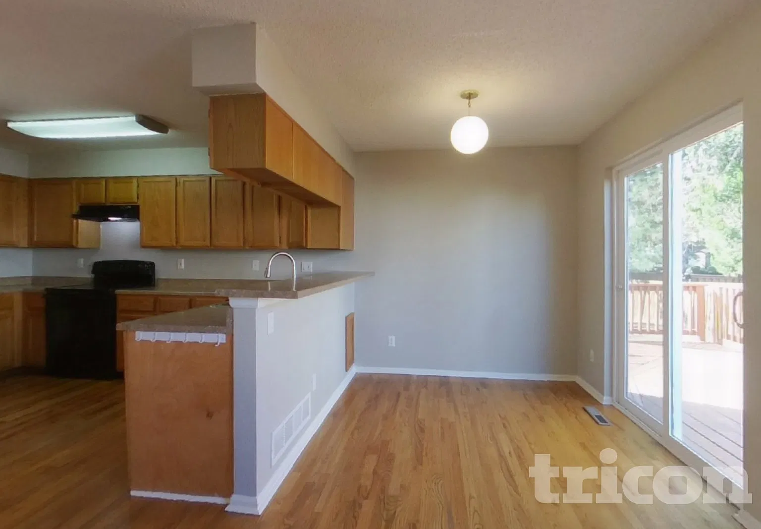 8381 White Cloud St Highlands Ranch CO — Photo 4