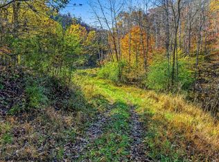 Lower Sleith Rd, Duck, WV 25063