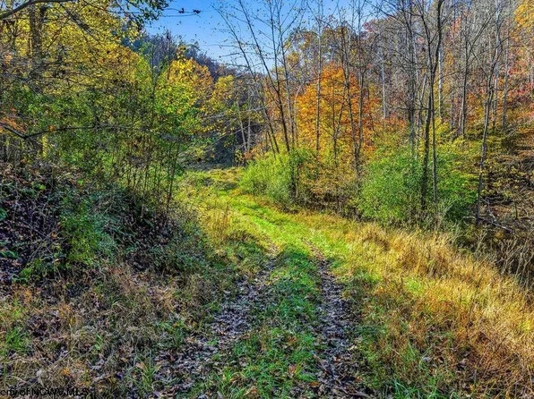 Lower Sleith Rd, Duck, WV 25063